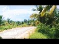6,727 SQ.M Overlooking Property For Sale in Magsaysay General Luna Siargao
