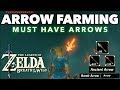 Arrows - Where to Find and Farm Various Powerful Arrows in Zelda Breath of the Wild