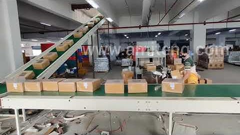 200 Feet long Belt Conveyor System, with 90 degree turn & Inclination for the next floor.