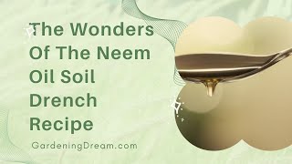 The Wonders Of The Neem Oil Soil Drench Recipe