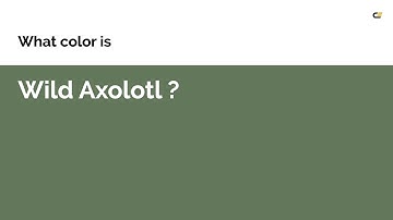 Wild Axolotl color #63775a hex color - Green color - Warm color 63775a
