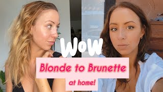 Watch this before going from Blonde to Brunette! At home hair transformation using protein filler!
