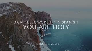 You are Holy (Prince of Peace) in Spanish