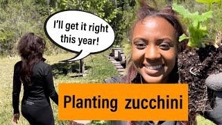 The Guide to Growing Zucchini !