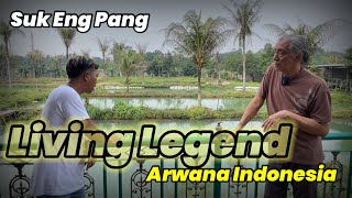 Ngobrolin Ikan Arwana Dengan Suk Eng Pang,Living Legend Arowana