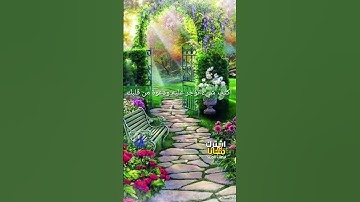 ارح قلبك -♥️-  ##بدون_حقوق القرآن الكريم لراحة النفسية || ا #اكسبلور #purane #بدون_حقوق #المصحف