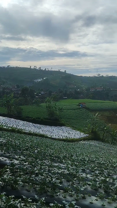Keindahan alam Dago Bandung #keindahan #alam #indah