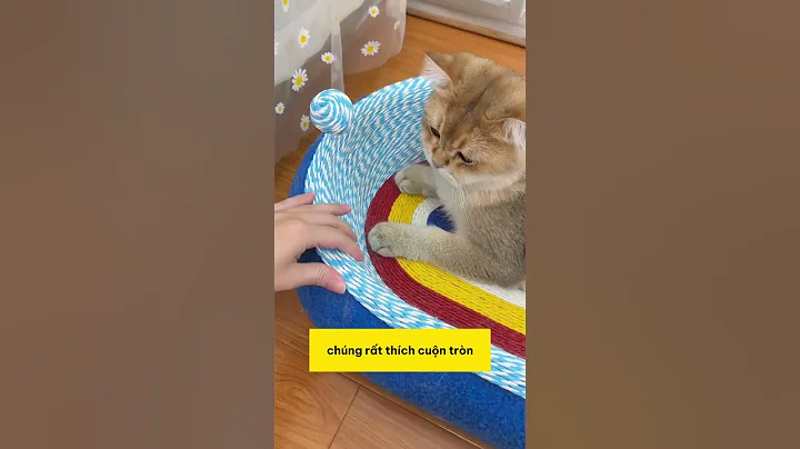 Ổ mèo siêu rẻ mà cả năm không trống chỗ #shopthucung #fyp #pet #cat #dog #cute