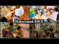 Новогодний ВЛОГ / Новогодняя неделя / как встретили Новый год / подарки / покупки