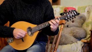 Video thumbnail of "Mandolin tunes. Palmers Gate (Irish reel)"
