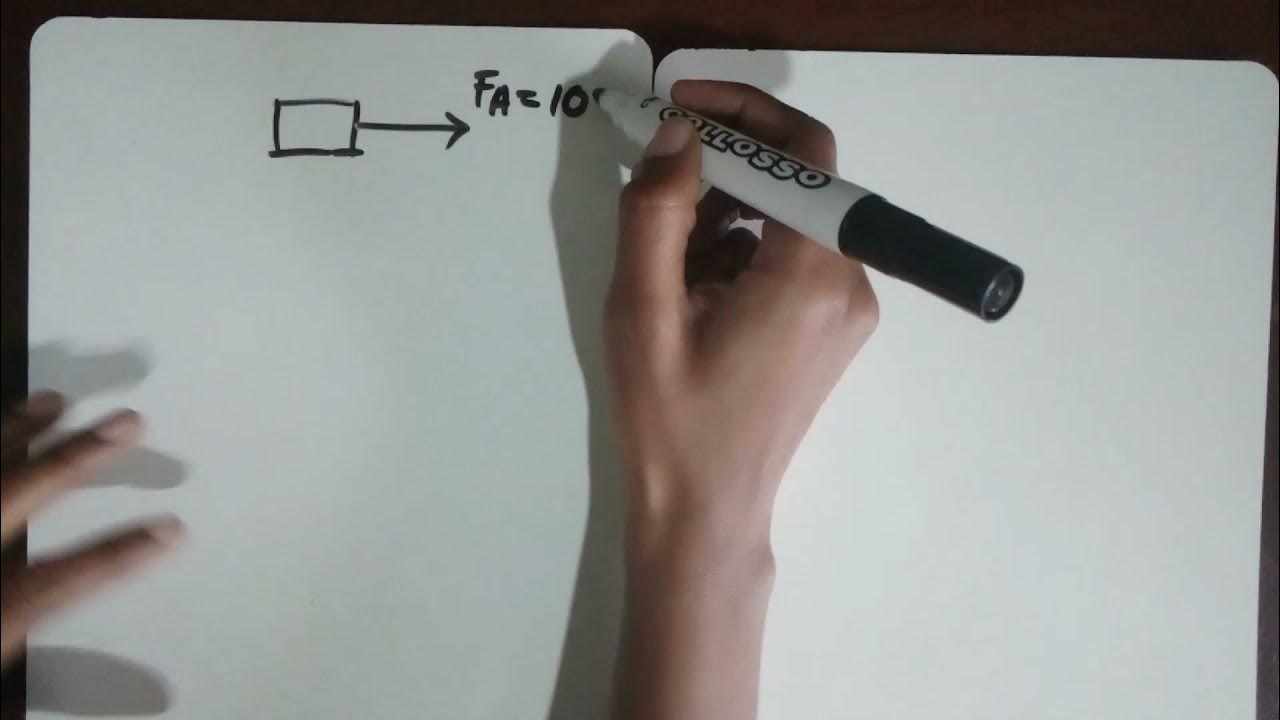 Vectors and scalars physical sciences physics grade 10 youtube
