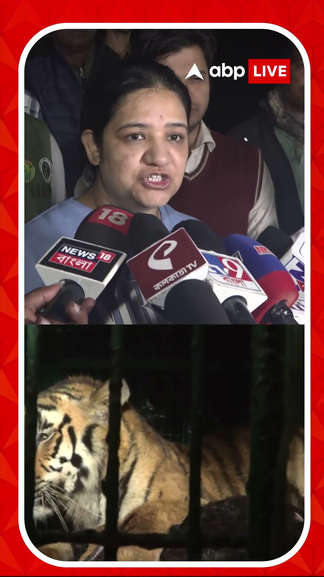 মৈপীঠে ধরা পড়ল বাঘ, কী বলছেন DFO?