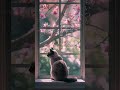 好きなのに分かれる恋がある