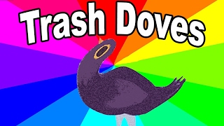 What is the trash dove? The history and origin of the facebook bird meme explained