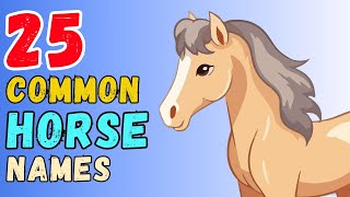Common horse Names For Boy & Girl [ 25 Best Ideas ]