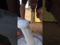 شوف يا معلم انت بطيء