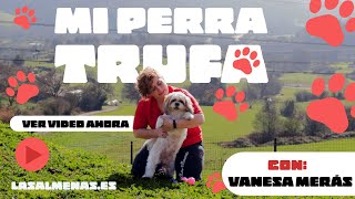 CÓMO HACER FELIZ A TU PERRO| Trufa, mi perrita Shihtzu | Centro Canino Las Almenas