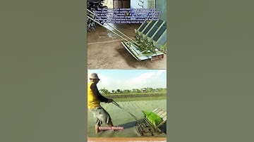 Affordable Mini Automatic Rice Transplanter🌾🌾 #automatic #rice #farming #farmer