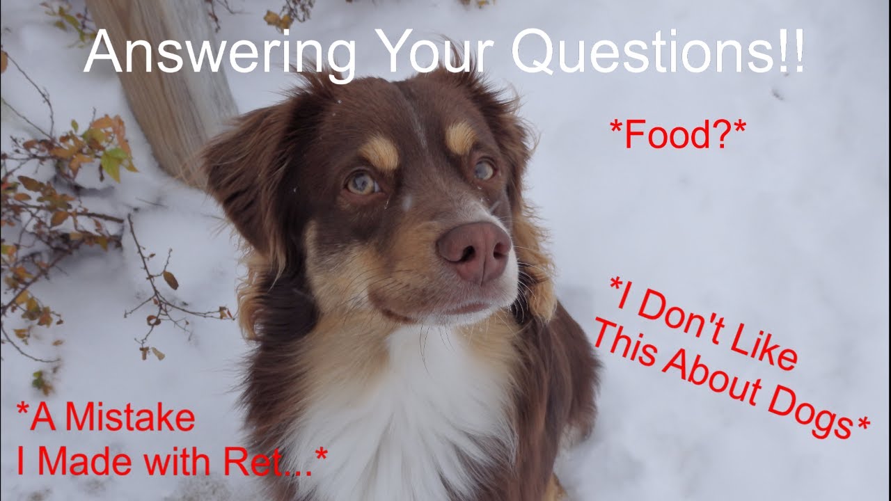 You asked, I answered! *Answering Your Questions!*