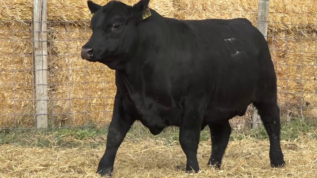 camera iphone 8 plus apk LOT 30