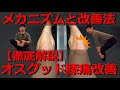 オスグッド膝痛の原因と改善方法【徹底解説】