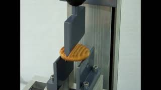 texture analyzer fracture/bending
