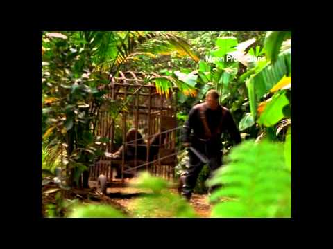 George of the jungle Punjabi Dubbed very funny