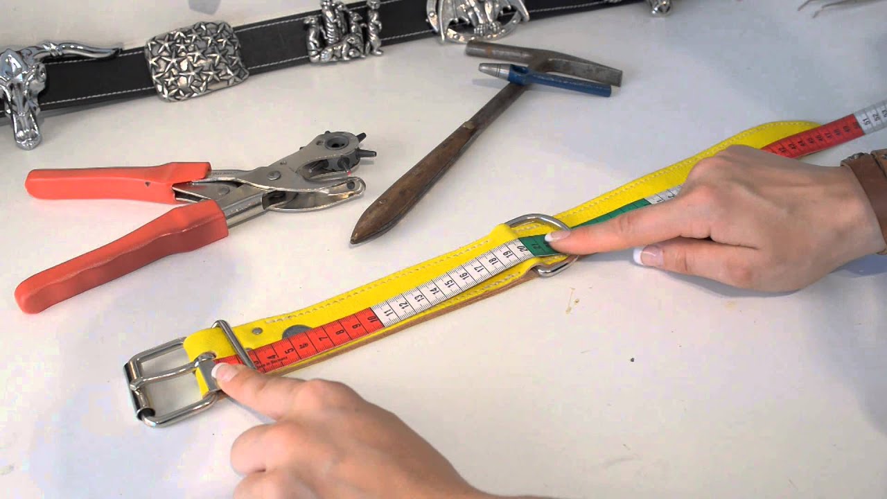 Dogrocket: Richtig messen einfach gemacht...