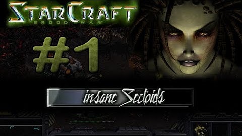 SC BW #1 - insane Sectoids Chronicles