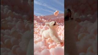 Colours of soul ,whispers of heart #optometristsharook #ai #aivideo #aishorts #shorts