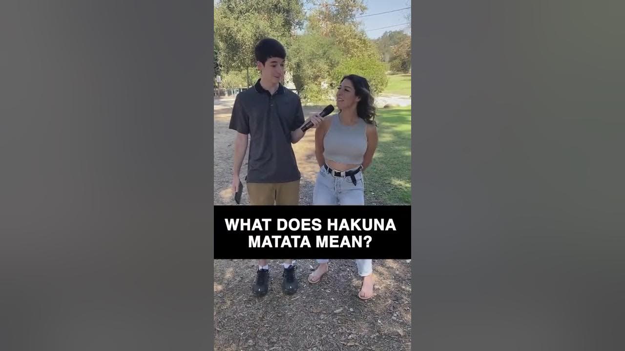 What does hakuna matata mean?