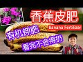 香蕉皮有机肥，最全的制作方法，看完都不舍得扔 | Banana Peel Fertilizer (Easy and quick）（点CC打开字幕）（English subtitles)