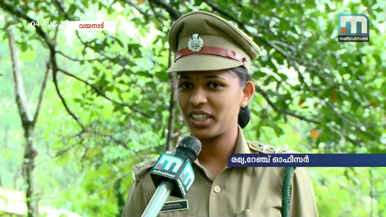 Kerala Forest Department Ranks