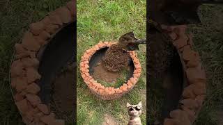 Practical Tire Turning