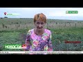 Елена Касиянчук участвует в конкурсе на лучшее подсобное хозяйство