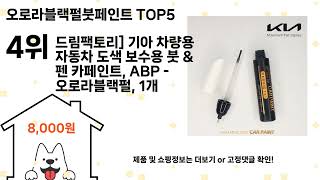 오로라블랙펄붓페인트 돈 아깝지 않은 가성비 추천 상품 Top5