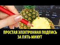 Создаём простую электронную подпись за 5 минут