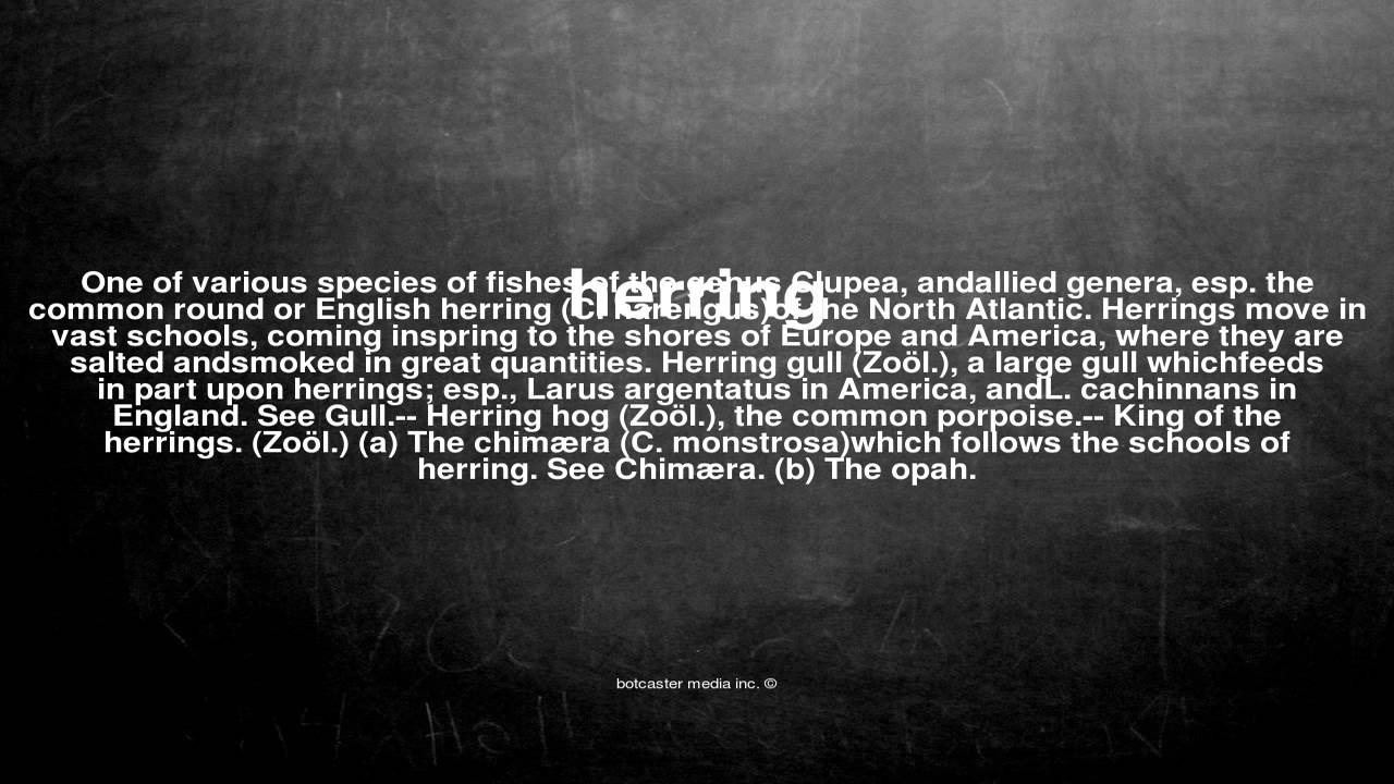 What does herring mean YouTube