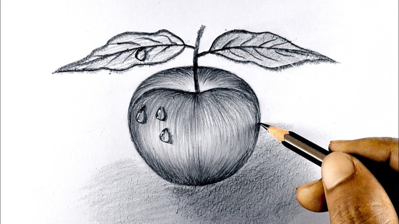 Apple - pencil sketch by Janani on Dribbble