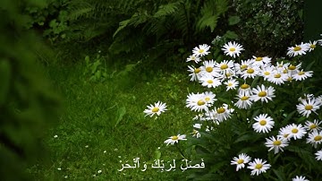 سورة الكوثر كاملة ياسر الدوسري- Yasser Al Dossari Surah AL-KAWTHAR
