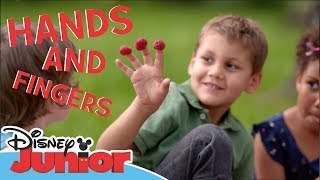 Disney Junior Body Movements - Hands And Fingers