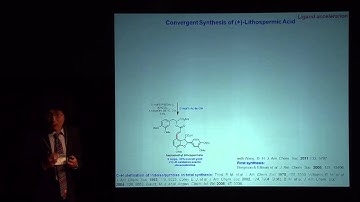 Jin Quan Yu  NOS 2013