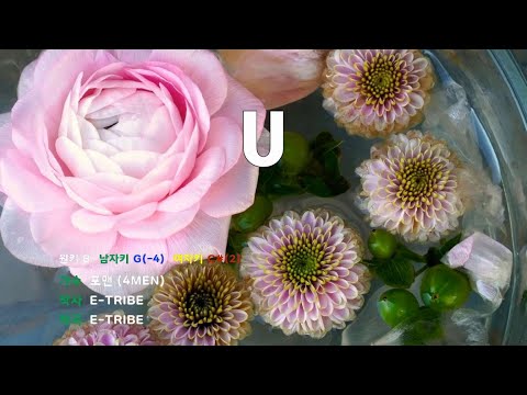 [은성 반주기] U - 포맨(4MEN)