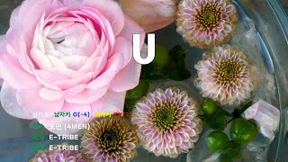 [은성 반주기] U - 포맨(4MEN)