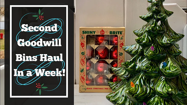 Goodwill Outlet Bins Thrift Haul! I shopped a different Goodwill Outlet! Thrift Decor