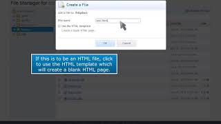 Plesk: How to Create New Files in File Manager