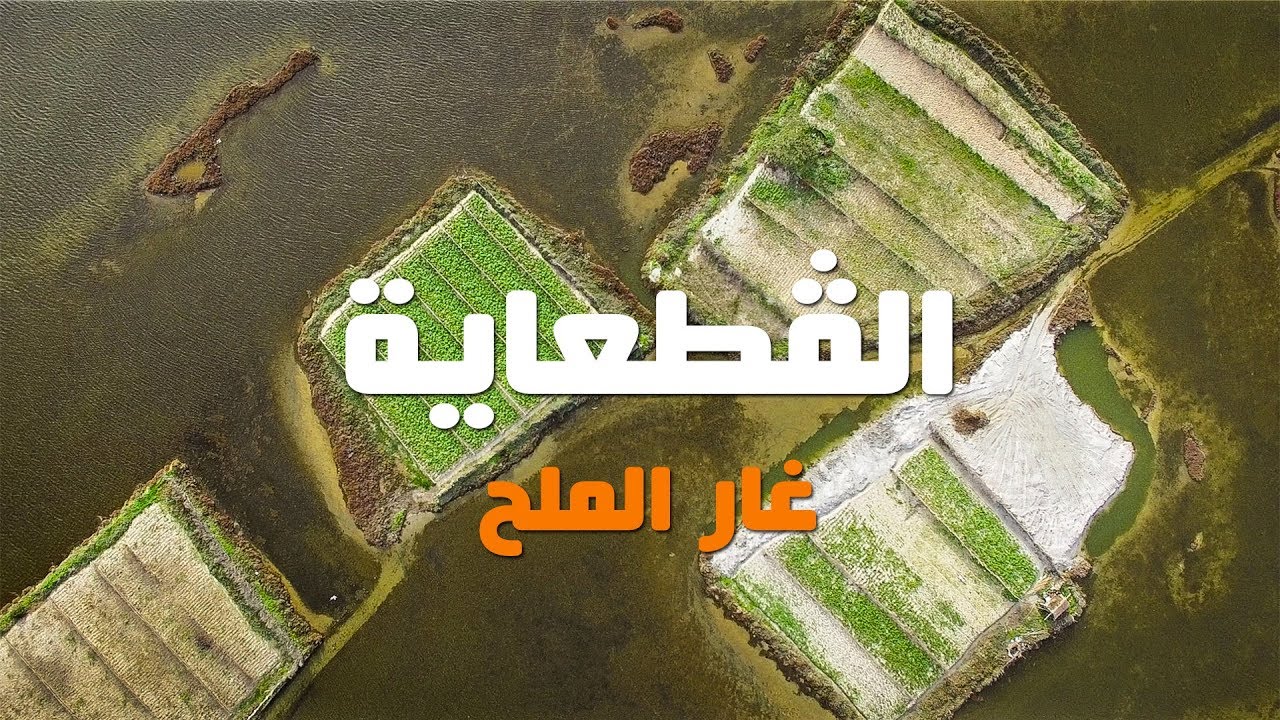 الڤطعاية في غار الملح