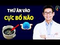 10 loại thực phẩm cực bổ não Càng Ăn Càng Khôn | Sống Khỏe