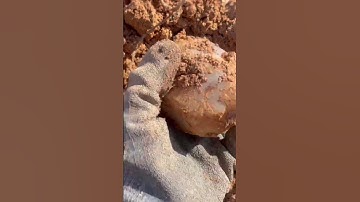 Avant Fisher Mountain big crystal point! Full video coming soon!#crystal #quartz #rock #arkansas