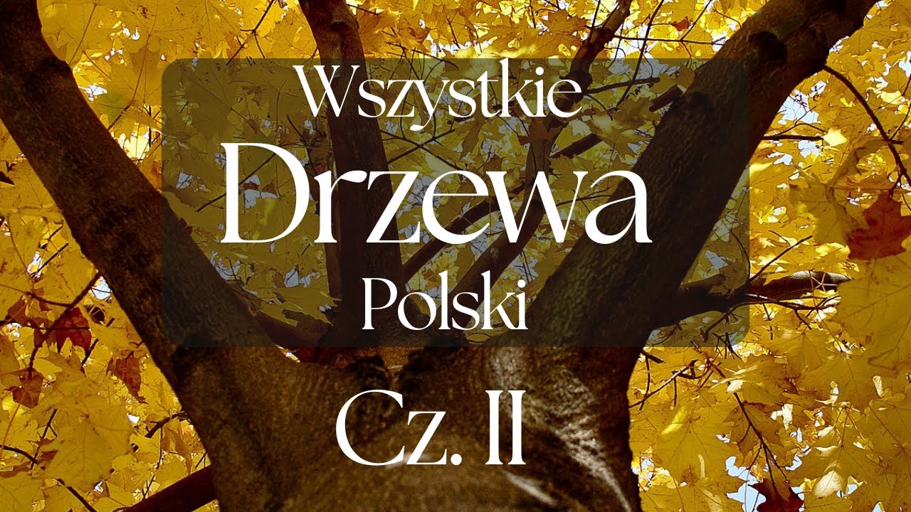 Wszystkie Drzewa Polski cz. II - Prezentacja Gatunków | Podcast Botaniczny nr 8